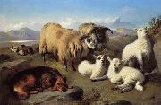 unknow artist Sheep 191 china oil painting reproduction